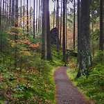 Harz Und Gaestehaus Am Bornweg Penzion 3*
