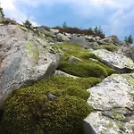 Harz Und Gaestehaus Am Bornweg Penzion Bad Sachsa