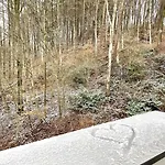Harz Und Gaestehaus Am Bornweg 3*