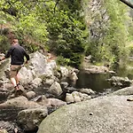 Harz Und Gaestehaus Am Bornweg بيت ضيافة باد ساخسا