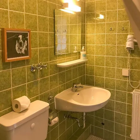 Pensjonat Harz Und Gaestehaus Am Bornweg