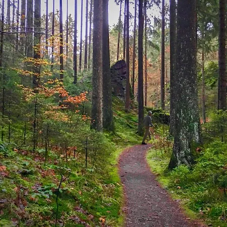 Harz Und Gaestehaus Am Bornweg Πανσιόν 3*
