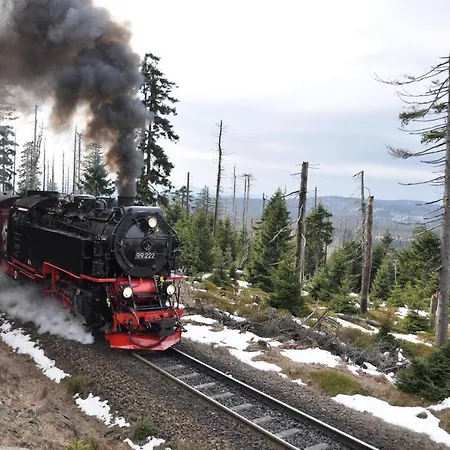 Konukevi Harz Und Gaestehaus Am Bornweg Bad Sachsa