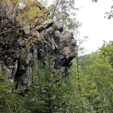 Harz Und Gaestehaus Am Bornweg 3* 바트사흐사