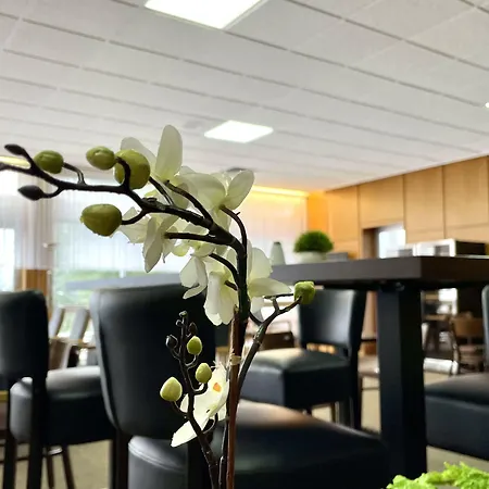 Harz Und Gaestehaus Am Bornweg 게스트하우스