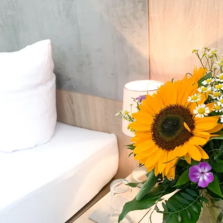 게스트하우스 Harz Und Gaestehaus Am Bornweg 바트사흐사