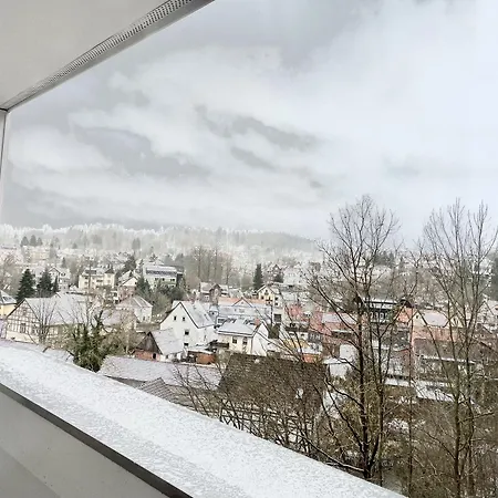 Harz Und Gaestehaus Am Bornweg Pensionat 3*