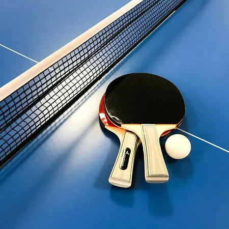 Harz Und Gaestehaus Am Bornweg 게스트하우스