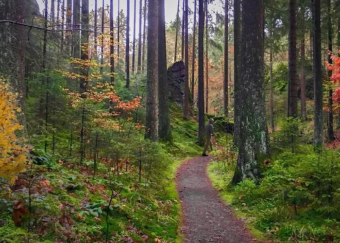 Harz Und Gaestehaus Am Bornweg Vendégház 3*
