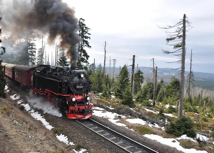 Gasthof Harz Und Am Bornweg Bad Sachsa