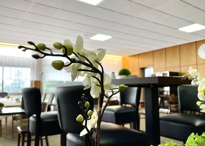 Harz Und Gaestehaus Am Bornweg Vendégház