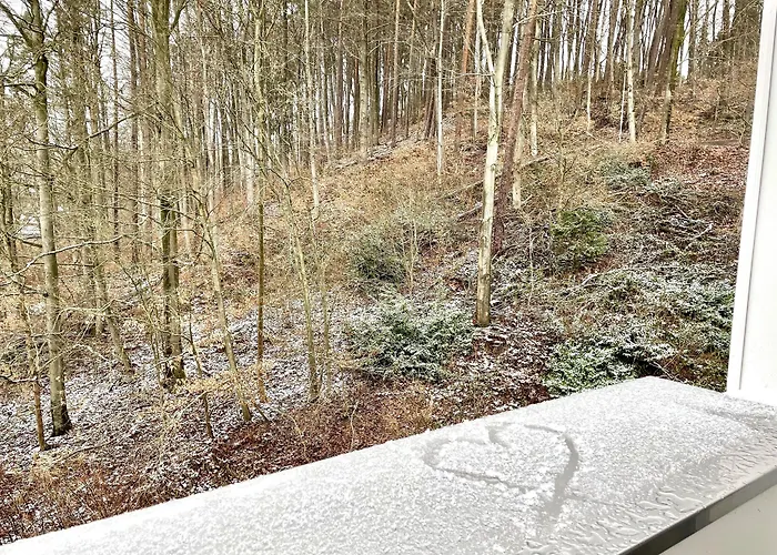 Harz Und Gaestehaus Am Bornweg 3*