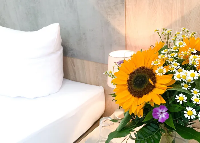 Gasthof Harz Und Am Bornweg Bad Sachsa