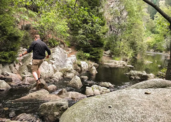Harz Und Gaestehaus Am Bornweg Pensjonat Bad Sachsa