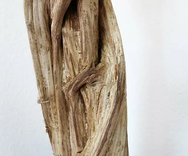 Harz Und Gaestehaus Am Bornweg 3* Bad Sachsa